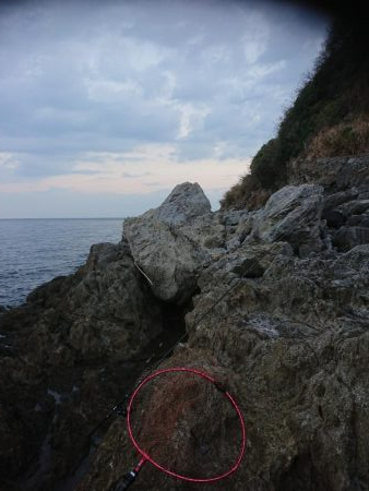 シーバース&ロックフィッシュ