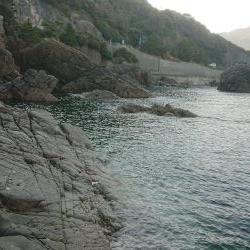 アジング  エギング  キス釣り メジナ釣り