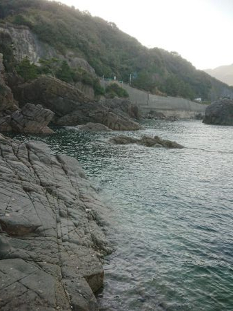 アジング  エギング  キス釣り メジナ釣り