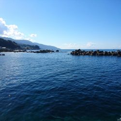 デイライトゲーム