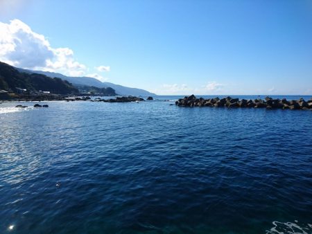 デイライトゲーム