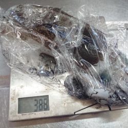 約１ヵ月ぶりに❗