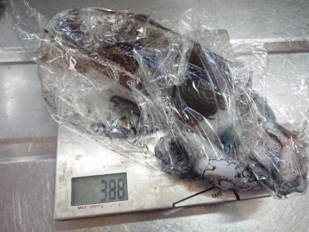 約１ヵ月ぶりに❗