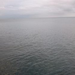 タチウオ プチ遠征でツ抜け