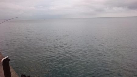 タチウオ プチ遠征でツ抜け