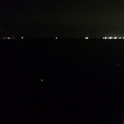 泉大津エリア タチウオ遠征