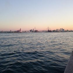 タチウオどこも渋すぎ！！