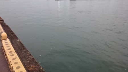 大潮2日目のタチウオ釣行