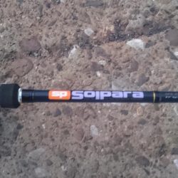 湾奥タチウオ釣行