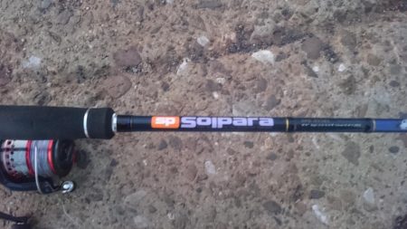 湾奥タチウオ釣行