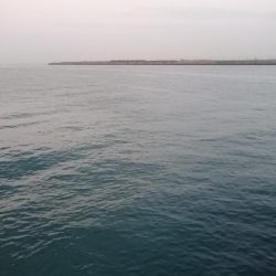 タチウオ久しぶりのツ抜け