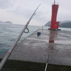 イカが釣れたからいーか