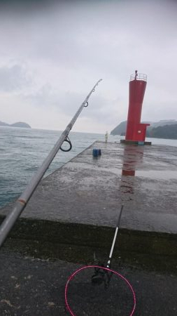 イカが釣れたからいーか