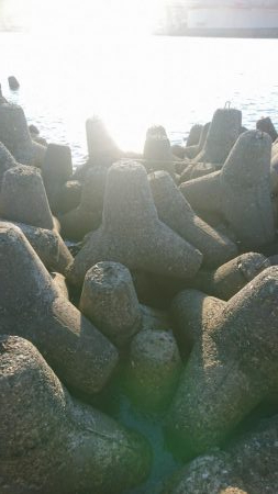 諦めかけたその時！