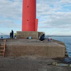播磨新島へ釣行しました