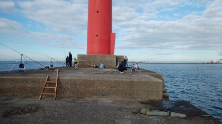 播磨新島へ釣行しました