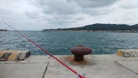 都志へ落ちギス釣査