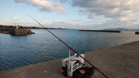 近場の江井ヶ島でハゼ釣り