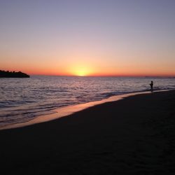 まだまだキス釣れます。