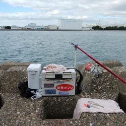 東二見水道へ落ちギス釣査