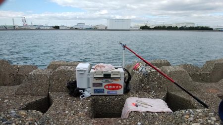 東二見水道へ落ちギス釣査