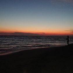 味を占めて連日釣行