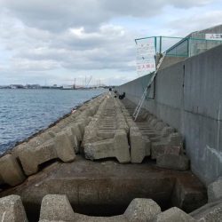 東二見水道で落ちギス釣り