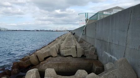 東二見水道で落ちギス釣り