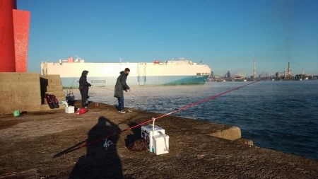 播磨新島で落ちギス釣り