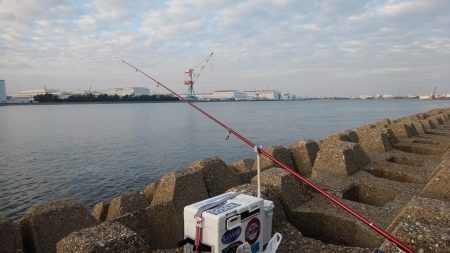 東二見水道で落ちギス釣査