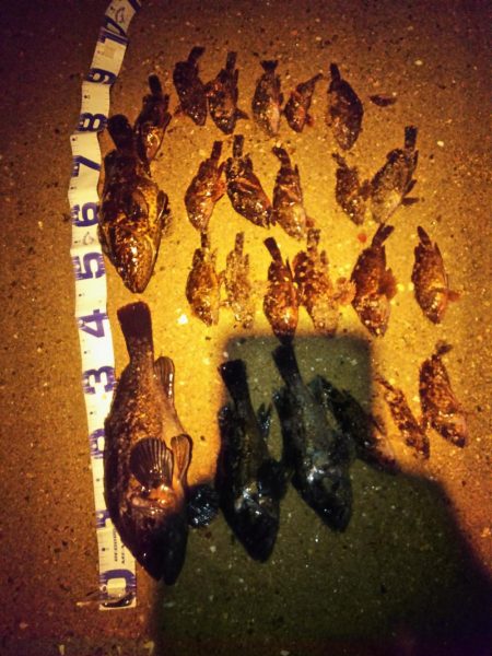 ゴムボートフィッシング