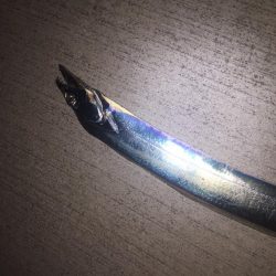 よく釣れてくれました！