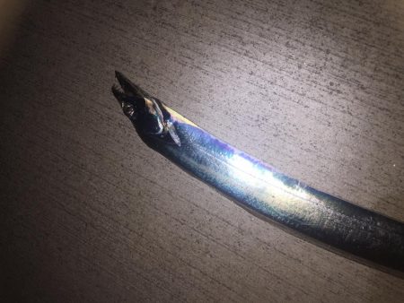 よく釣れてくれました！