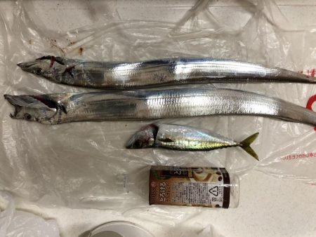 タチウオその他