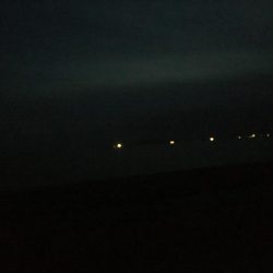 ショアジグ不発