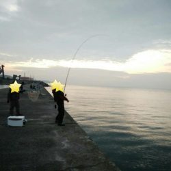 ノマセでタコ!?