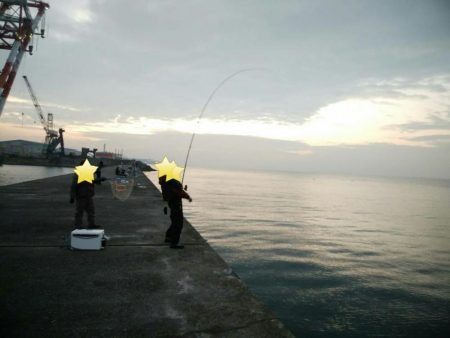 ノマセでタコ!?