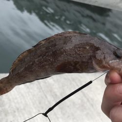 ちょい投げ、足元釣り