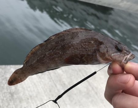 ちょい投げ、足元釣り