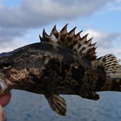 江井ヶ島漁港・江井ヶ島海岸