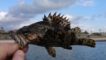 江井ヶ島漁港・江井ヶ島海岸