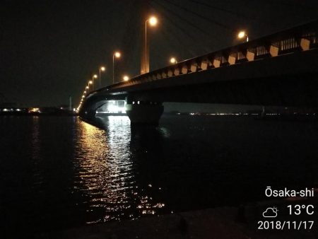 南港カモメ大橋ヘチ釣行 （キビレ42cm、ガシラ　釣果有り）