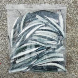 サヨリからのあじ