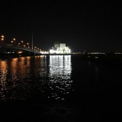 南港カモメ大橋 釣行 (タチウオ釣り 2本釣果有り)