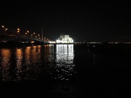 南港カモメ大橋 釣行 (タチウオ釣り 2本釣果有り)