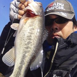 バスはシャローにもディープにも居ます…