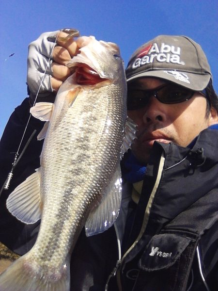 バスはシャローにもディープにも居ます…