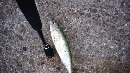 用事のついでに