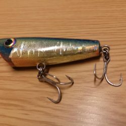 干潮潮止まりでカライワシヒット