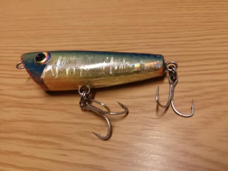 干潮潮止まりでカライワシヒット